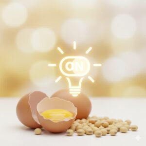 이미지 3 - A close-up of high-leucine foods like eggs, soy, and chicken breast, with a graphic overlay representing the "switch" that activates muscle growth.