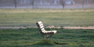A peaceful garden bench in the morning light symbolizing reflection and gratitude.