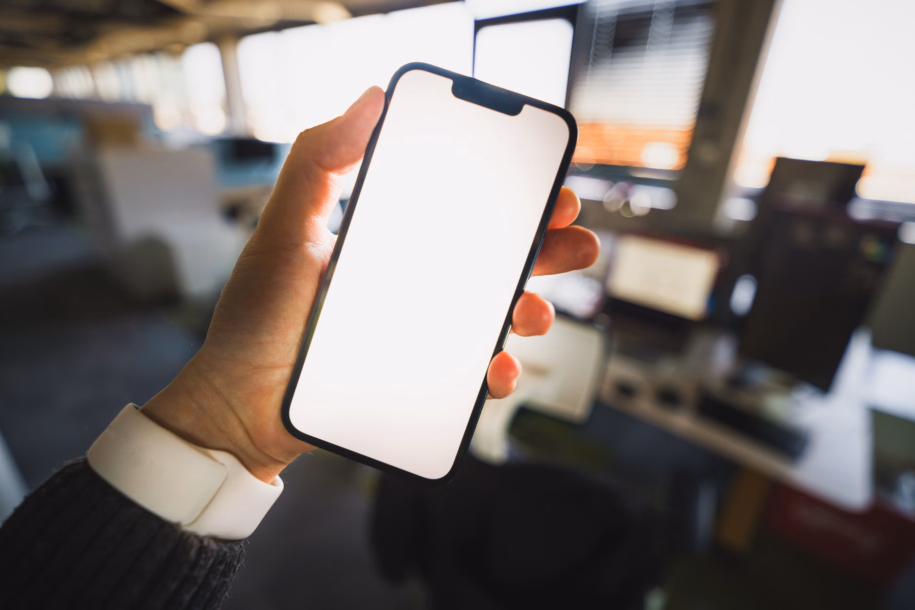The Secure Traveler: A Practical Guide to Managing Digital Travel Documents 2 Smartphone screen showing a secure digital document storage application.