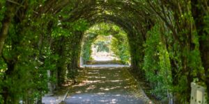 A beautiful, accessible botanical garden path under morning sunlight.