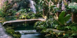 A serene villa garden in Chiang Mai, Thailand, representing accessible luxury retirement.