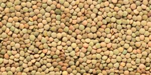 A variety of raw plant-based protein sources such as lentils, chickpeas, and quinoa on a wooden table.
