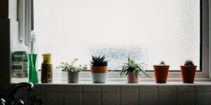 A sunlit kitchen windowsill featuring a variety of fresh indoor herbs in pots.