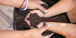 A vibrant community garden where generations connect, representing the future of intergenerational housing.