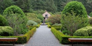 A serene and accessible botanical garden path with benches, perfect for senior visitors.