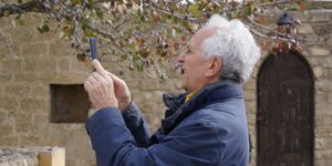 A senior adult using a smartphone to photograph a park.