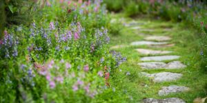 A beautiful, accessible botanical garden path during peak bloom, designed for comfortable walking.
