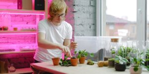 A peaceful indoor plant propagation station with glass jars and green plants.