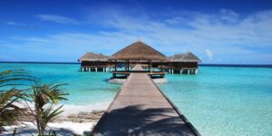 A scenic, accessible tropical resort with a wooden boardwalk and palm trees.