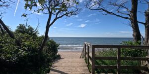 A scenic, accessible wooden boardwalk stretching along a peaceful ocean coastline under a clear sky.