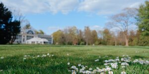 A wide view of a sunny, accessible botanical garden with smooth paths and benches.