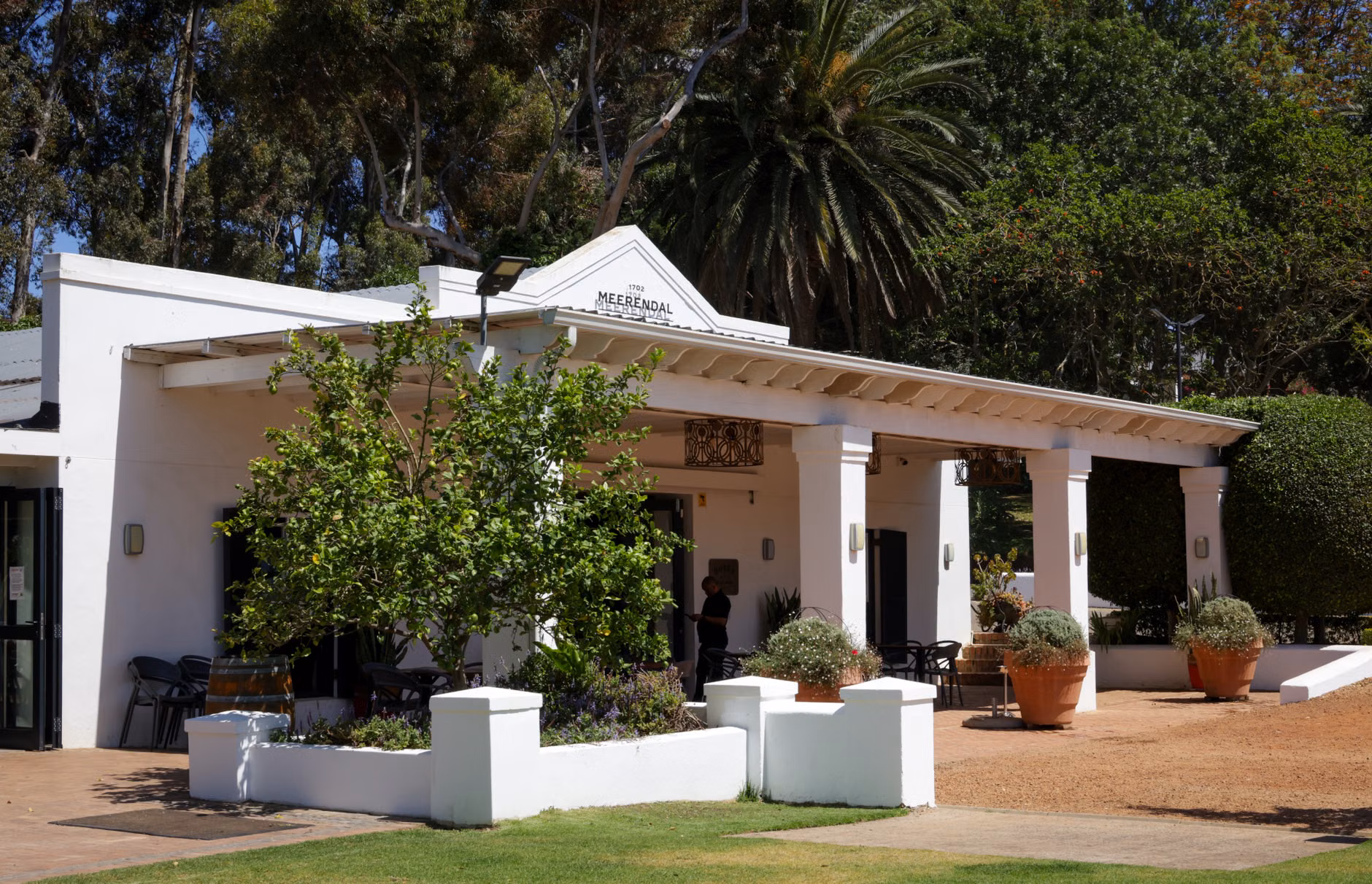 Senior-Friendly Winery Tours: A Comprehensive Guide to Accessible Wine Tourism 2 Accessible, shaded outdoor seating at a vineyard.