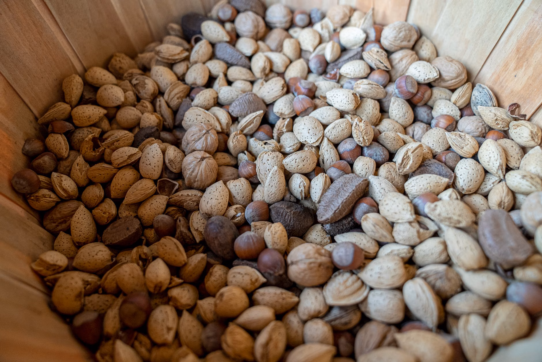 A variety of zinc-rich food sources including nuts, seeds, and legumes displayed on a table.