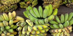 A variety of colorful, potassium-rich whole foods displayed on a wooden table.