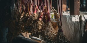 Bundles of fresh herbs hanging to dry in a sunlit, rustic kitchen.