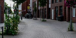 A peaceful, green city street designed for quiet, pedestrian-friendly urban living.