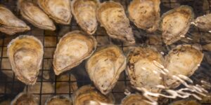 A selection of zinc-rich foods including pumpkin seeds, oysters, and lentils on a wooden table.