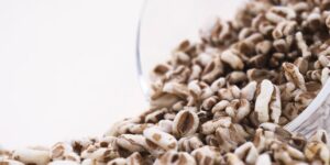 A table filled with nutritious, silicon-rich whole foods like grains and vegetables.