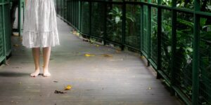 A scenic, accessible tropical garden pathway designed for easy walking.