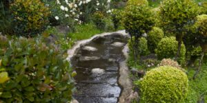 A serene, accessible botanical garden path in South America with clear walkways and lush tropical plants.