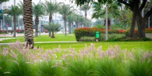 A scenic view of a well-maintained, accessible tropical garden with paved paths.