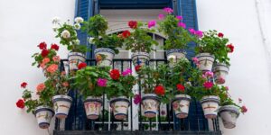 A vibrant balcony garden with various potted herbs and flowers in soft morning sunlight.