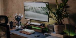 A modern home office workspace featuring a large monitor with a simplified, accessible government website interface.