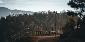 Scenic mountain trail with a resting bench at sunrise.