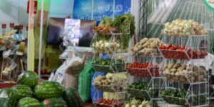 A colorful display of fresh fruits and vegetables rich in Vitamin C.