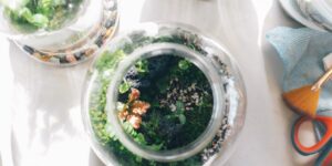 A beautiful glass terrarium on a sunlit table, representing mindful indoor gardening.