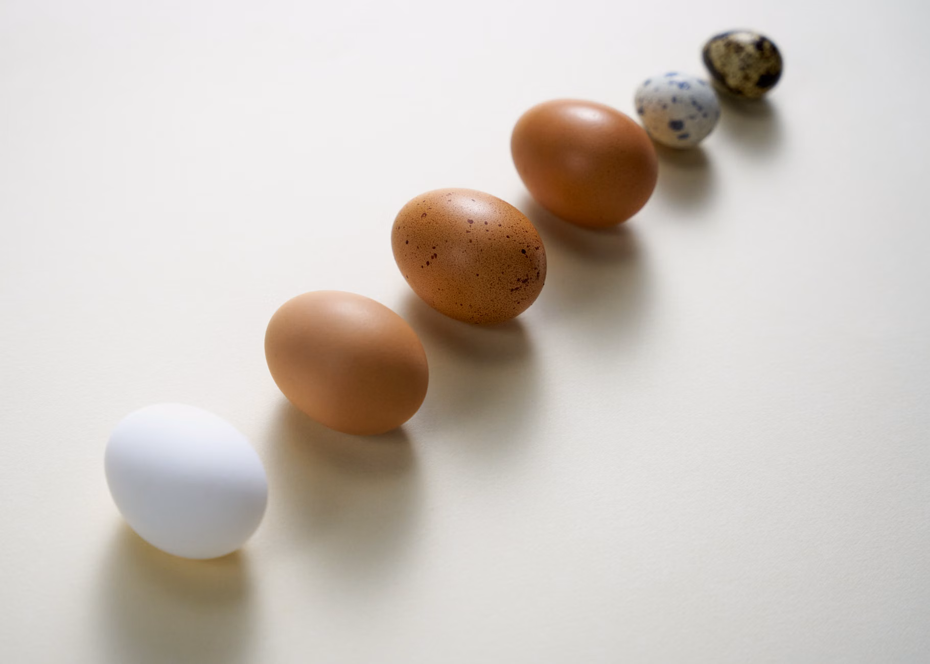 Diverse food sources of choline including eggs and legumes.