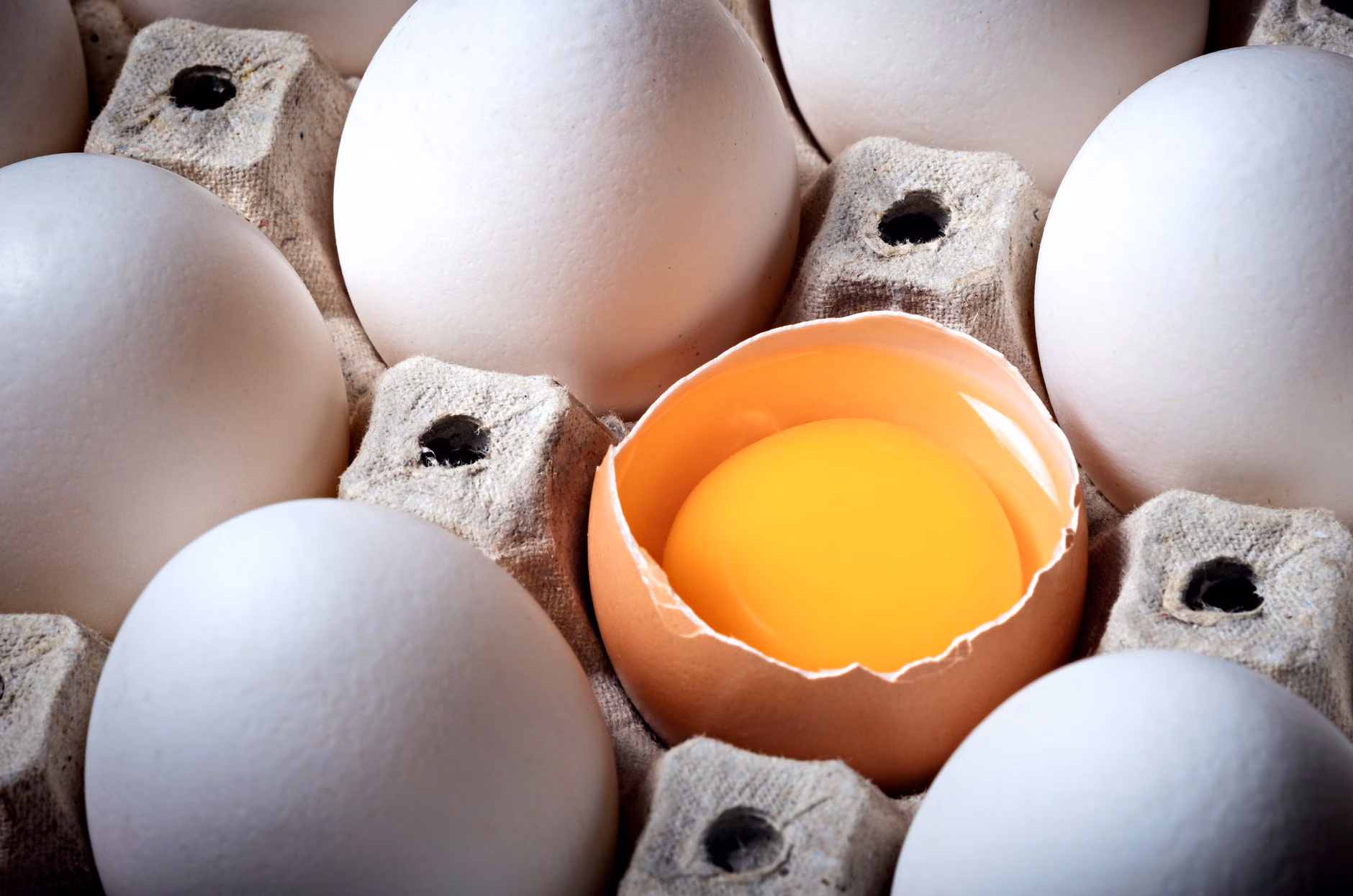 A selection of Vitamin D-rich food sources including fish, eggs, and mushrooms.