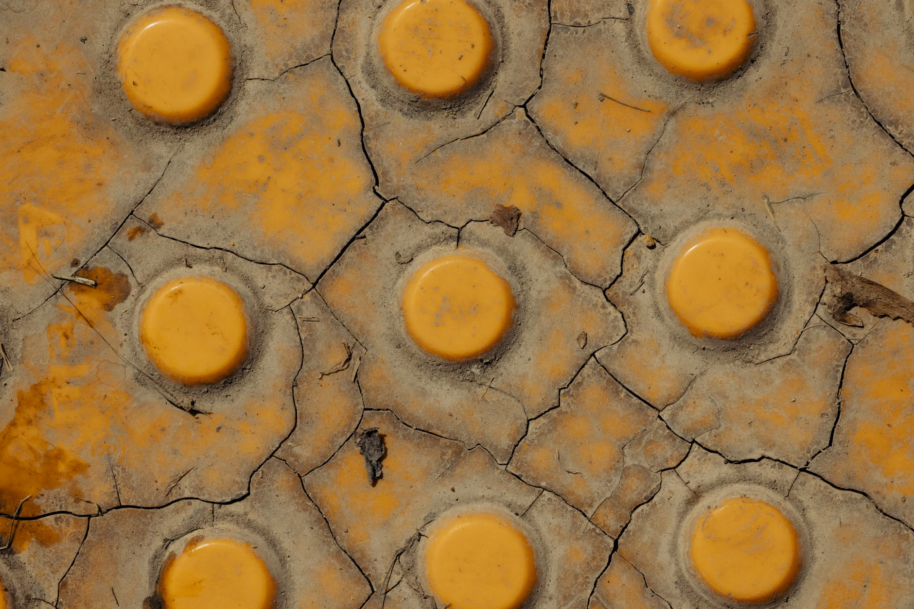 2026 Global Sidewalk Standards: What New Tactile Indicators Mean for Your Mobility 1 Close-up of yellow truncated dome tactile paving tiles on a sidewalk.