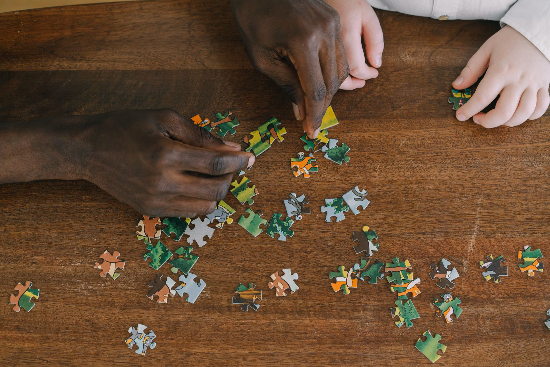 The Cognitive Architecture of Puzzle Construction: A Guide to Enhancing Mental Agility 1 Hands sorting intricate puzzle pieces on a table.