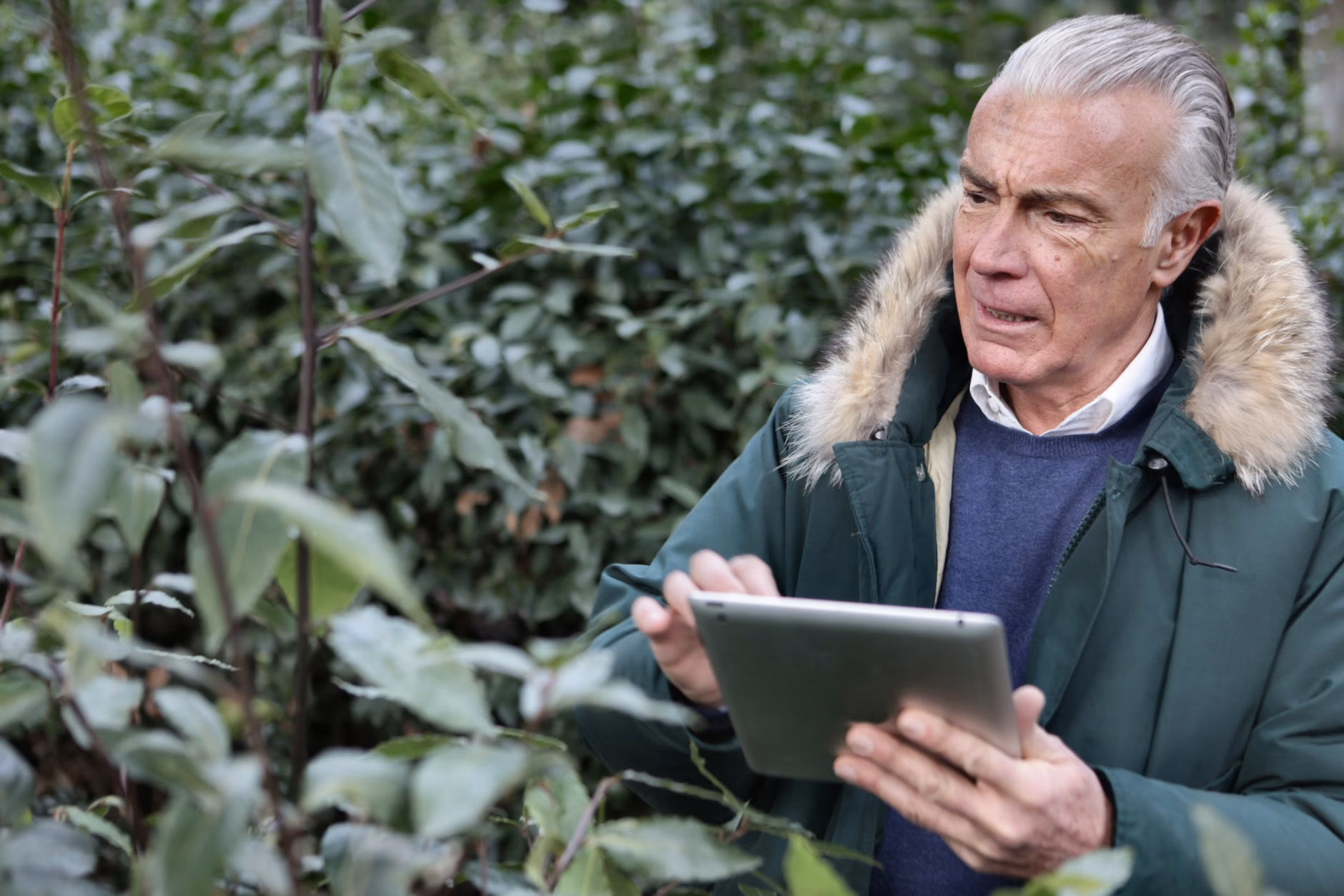 A senior using a digital tablet to identify insects in an outdoor setting.