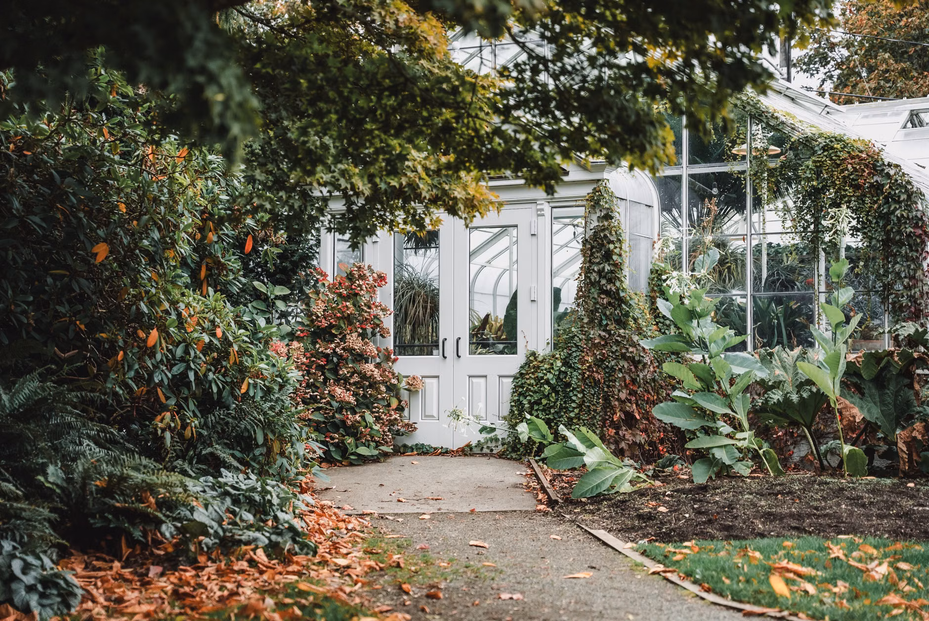 Selecting Accessible Botanical Glasshouses: A Guide for Comfortable Exploration 2 Accessible ramp entrance to a botanical glasshouse.