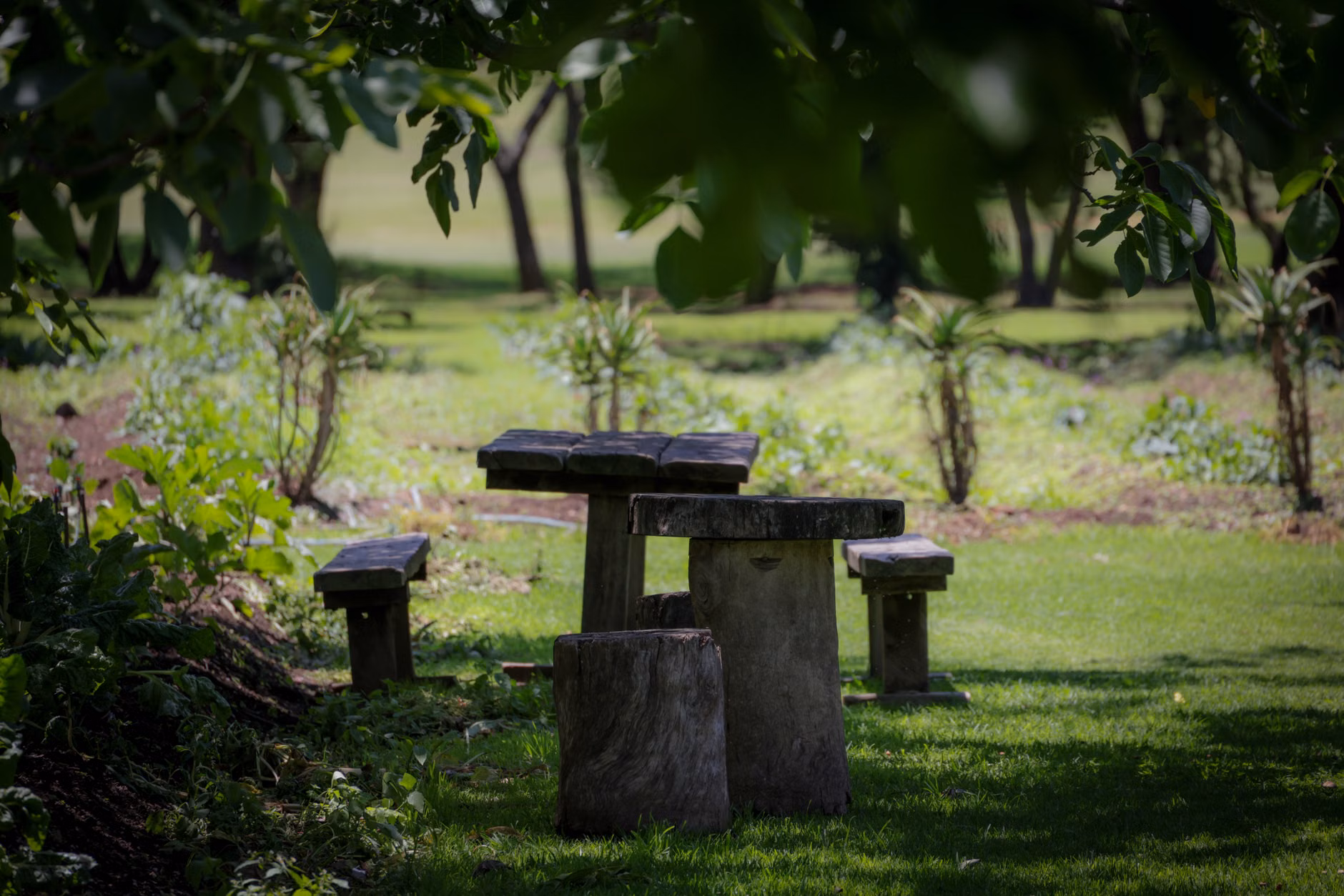 A quiet, shaded outdoor seating area in a garden for resting.