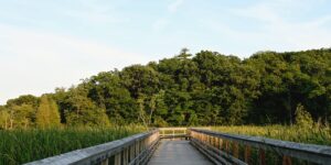 A scenic, accessible wooden boardwalk in a national park leading to a viewing deck.