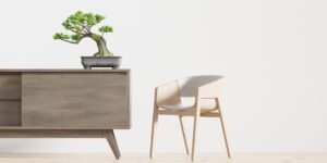 A peaceful indoor bonsai tree arrangement in a sunlit room.