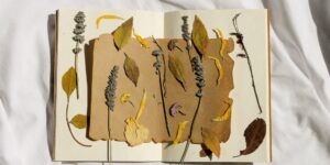 A wooden flower press being used to preserve autumn leaves on a sunlit table.