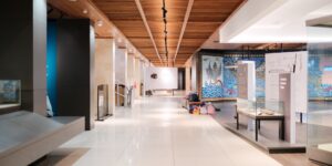 A bright, accessible museum gallery space with clear pathways and seating.