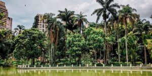 A scenic view of an accessible botanical garden with wide, flat paths and senior visitors.