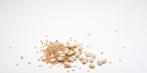 A healthy assortment of legumes, nuts, and greens representing dietary sources of molybdenum.