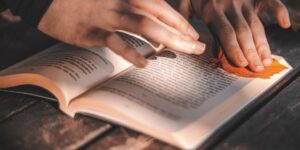 Hands carefully placing autumn leaves into a book for pressing.