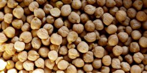 A selection of Vitamin B6-rich foods including salmon, chickpeas, and fresh greens on a kitchen counter.