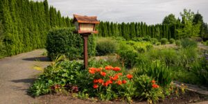 A wide, accessible path in a vibrant, sunlit botanical garden designed for ease of mobility.