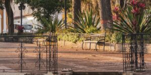 A scenic, accessible historic garden path with benches and lush greenery.