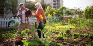 A senior and a young adult gardening together in a sustainable community garden.