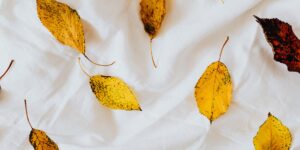A flat-lay view of botanical leaf-printed fabric surrounded by natural leaves and tools.